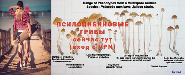 мефедрон Армянск