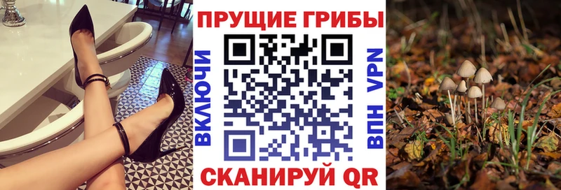 Галлюциногенные грибы Magic Shrooms  Сорск 